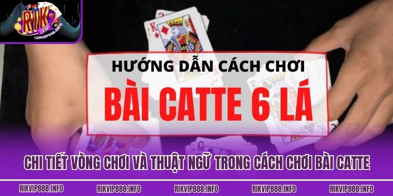 Cách Chơi Bài Catte Rikvip Chi Tiết Và Những Mẹo Từ Cao Thủ Chi tiết vòng chơi và thuật ngữ trong cách chơi bài Catte